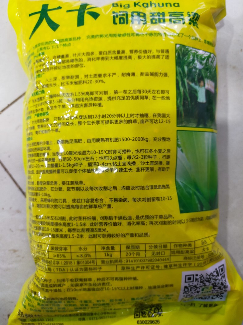 正宗牧草种子大力士甜高粱种子高丹草种子饲料草种子