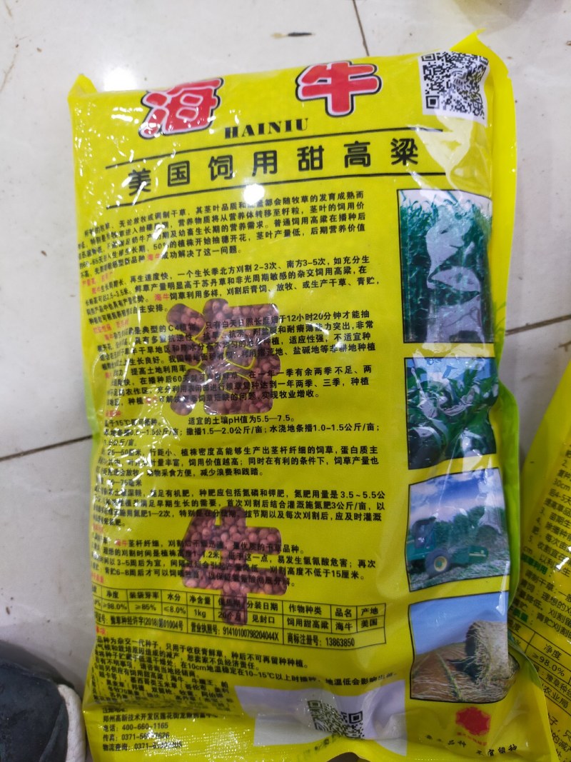 正宗牧草种子大力士甜高粱种子高丹草种子饲料草种子