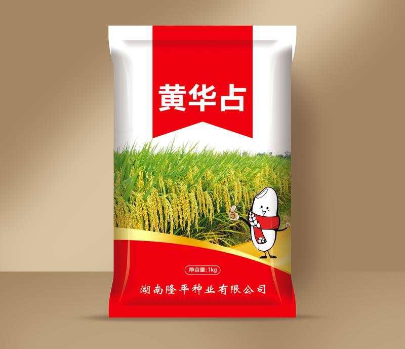 水稻种子杂交水稻种子大田种种植种子直播水稻种子糯米种子