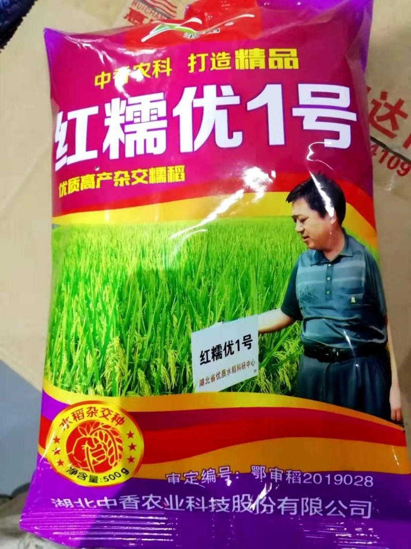 水稻种子杂交水稻种子大田种种植种子直播水稻种子糯米种子