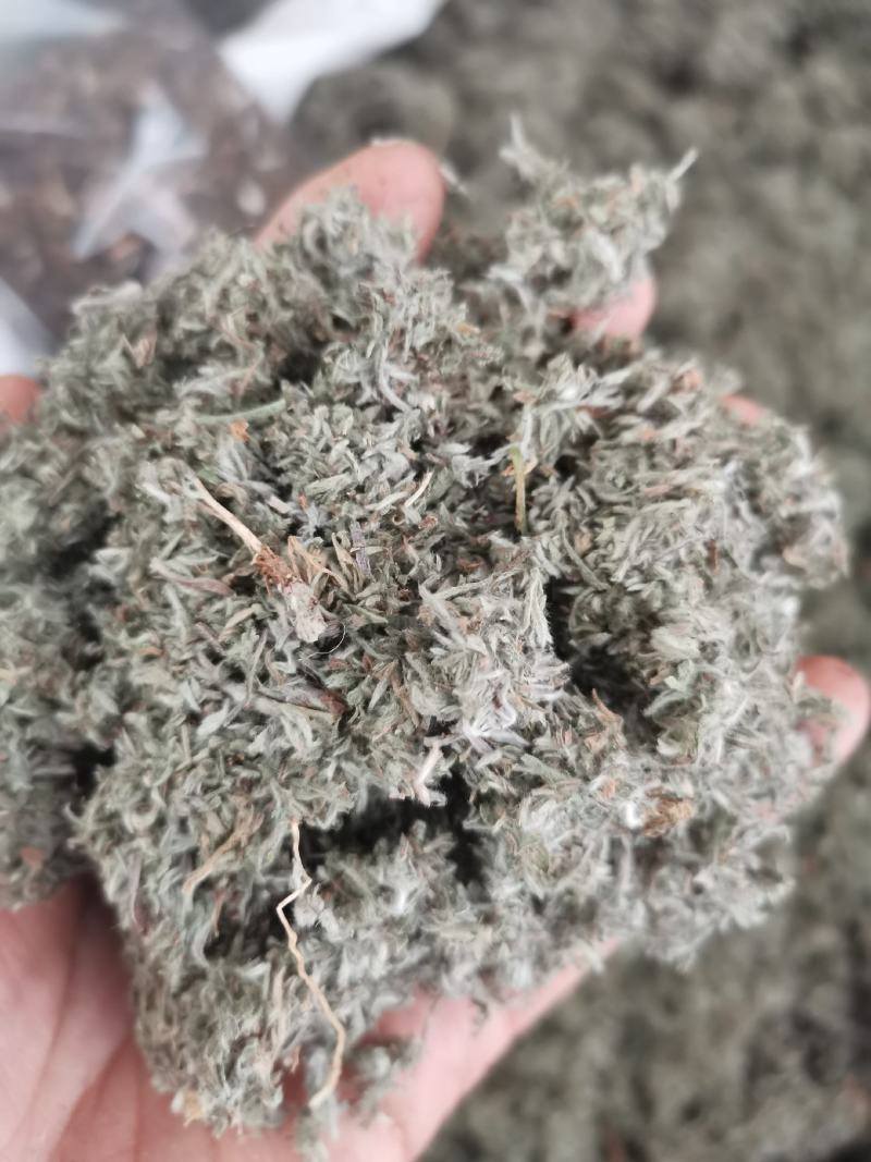 茵陈绵茵陈三月茵陈干货干净无杂一公斤起