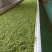 河南南阳桐柏谷雨雨前龙井一芽两叶，茶树品种龙井43