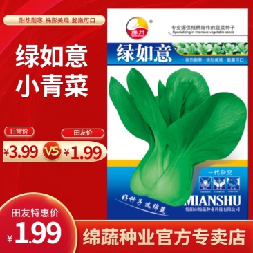 绿如意/青梗菜种子/叶菜种子/蔬菜种子/绵蔬种业