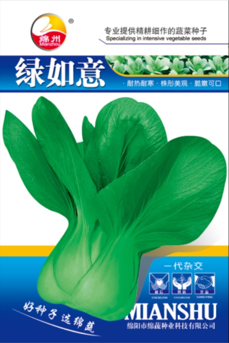 绿如意/青梗菜种子/叶菜种子/蔬菜种子/绵蔬种业