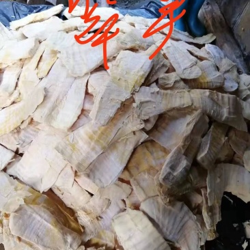 福建省建宁县溪源乡新鲜开仓笋丝鸡汁翠笋纸片笋