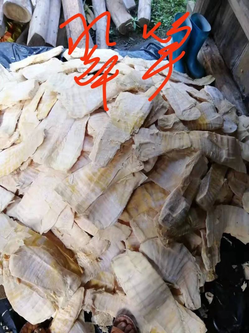 福建省建宁县溪源乡新鲜开仓笋丝鸡汁翠笋纸片笋