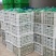 我基地常年供应优质意大利生菜，品质保证……杜学林