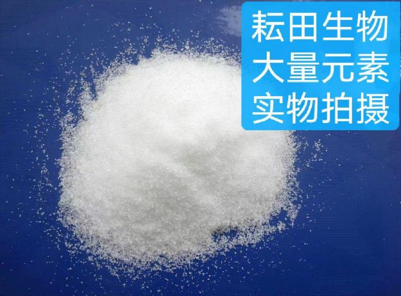 大量元素水溶肥20-20-20平衡肥