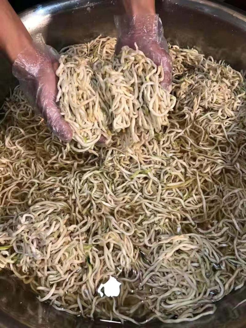 微中辣木瓜丝香辣脆美味爽口广西木瓜丝畅销各地特产