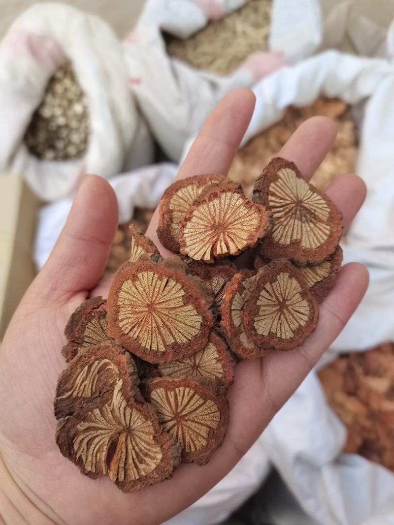 红藤血藤大血通红藤片血塞通各种中药材