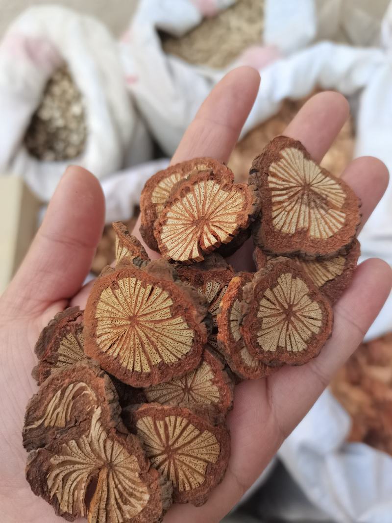 红藤血藤大血通红藤片血塞通各种中药材