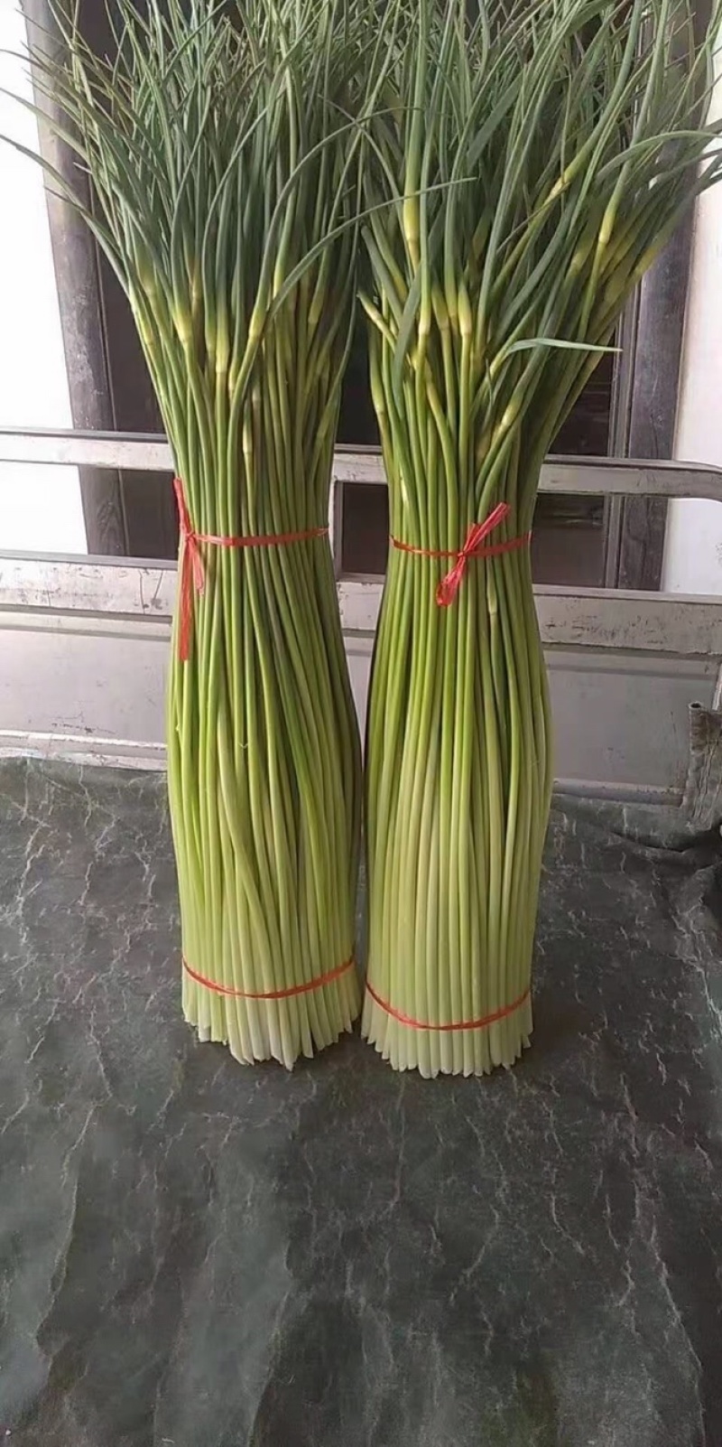 产地直销，一手货源，代收代发，干苔不泡水