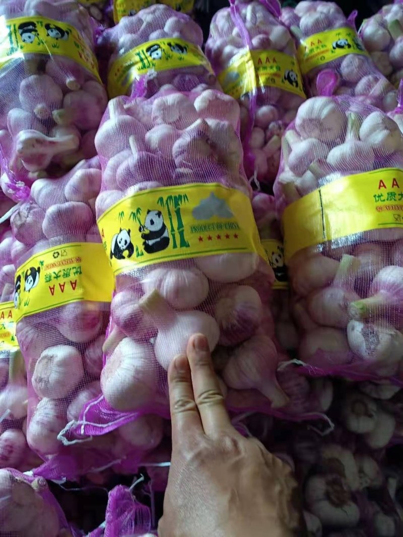 新鲜出炉啦，一天两个挂，保质保量