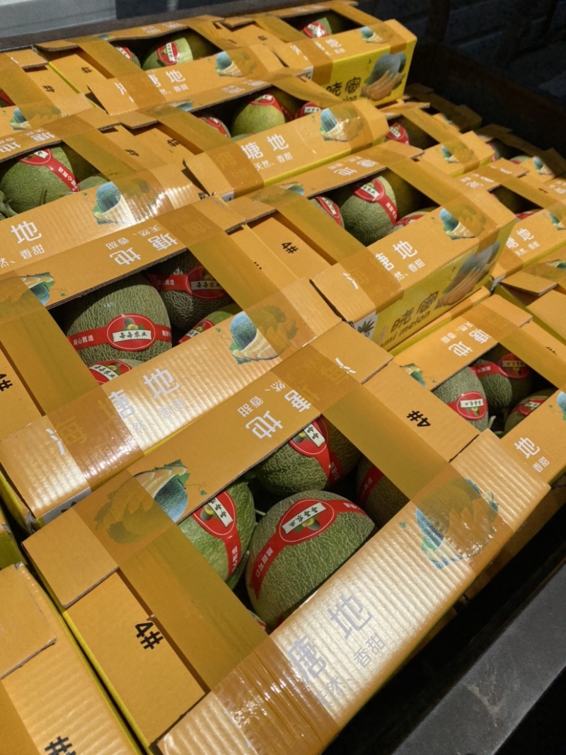 台州西州蜜又甜又脆大量上市