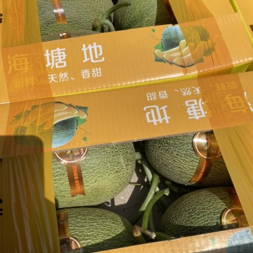 台州西州蜜又甜又脆大量上市