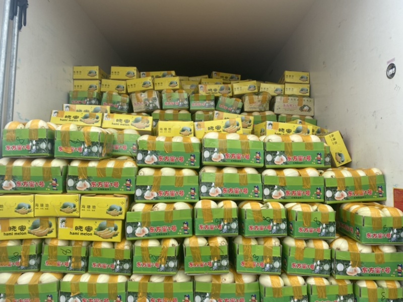 正宗东方蜜一号量大从优
