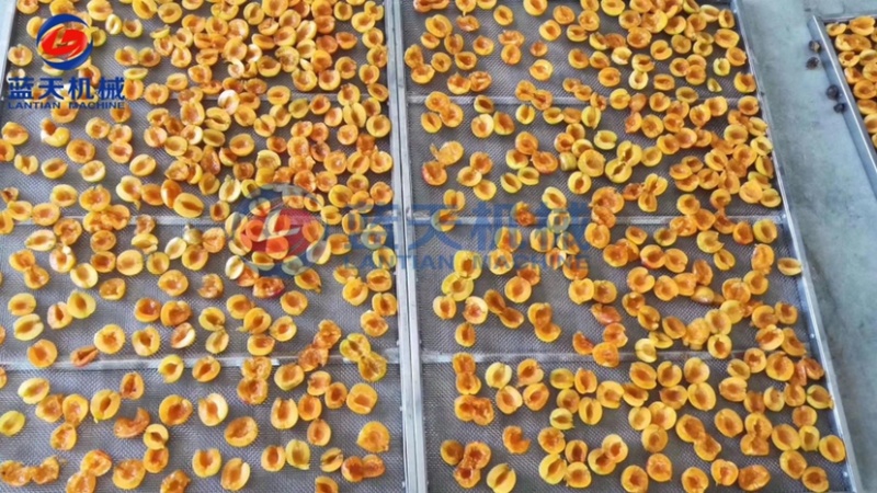核桃烘干机核桃仁烘干机杏子烘干机桃子烘干去核一体机
