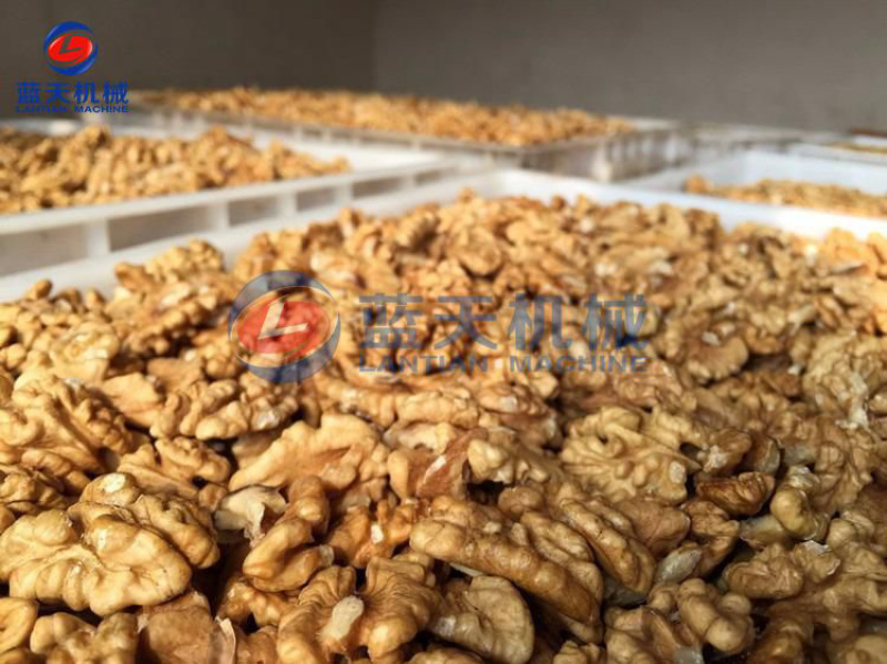 核桃烘干机核桃仁烘干机杏子烘干机桃子烘干去核一体机