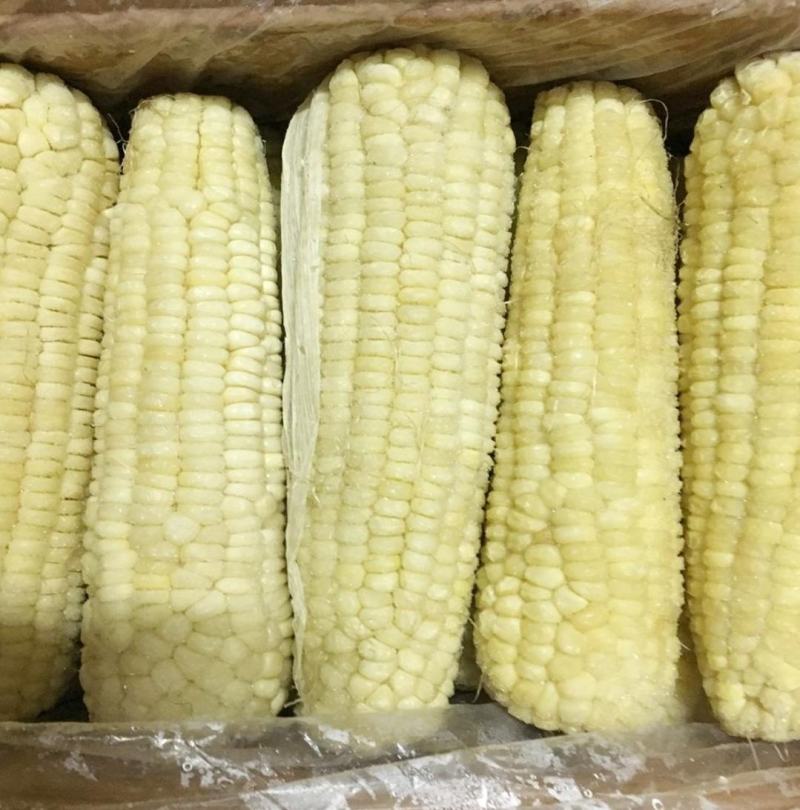 东北玉米，3-2-1-特的都有，超级便宜，问过价的都要了
