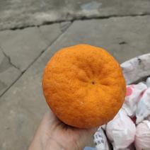柑橘类耙耙柑
