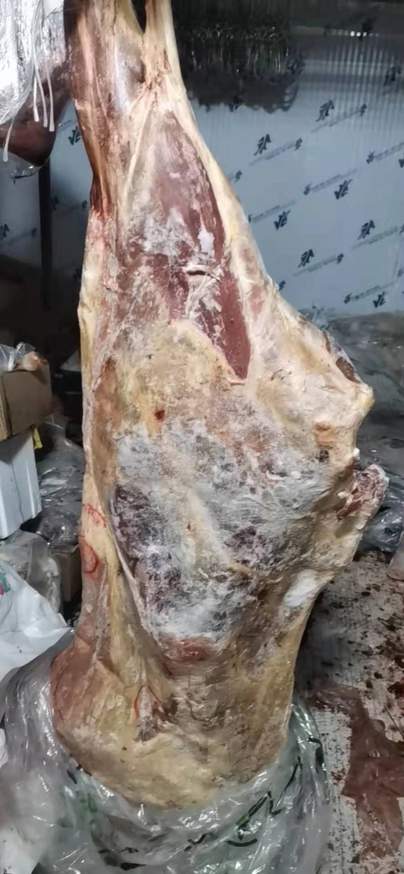 整牛四分体冻牛肉，牛骨头