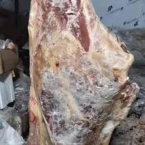 整牛四分体冻牛肉，牛骨头