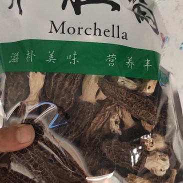 羊肚菌干羊肚菌菇