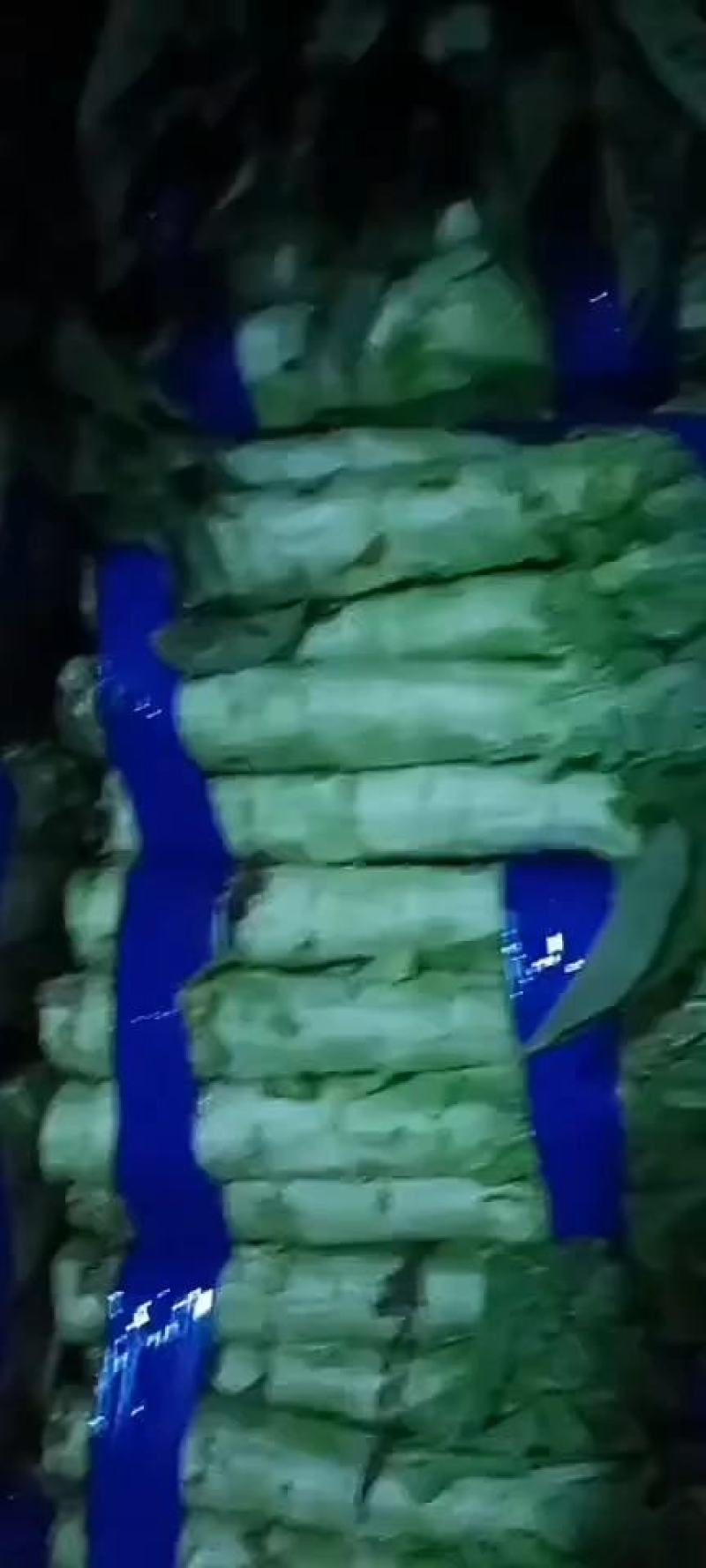 河南莴笋大量产地直发一手货源有货欢迎新老客户采购