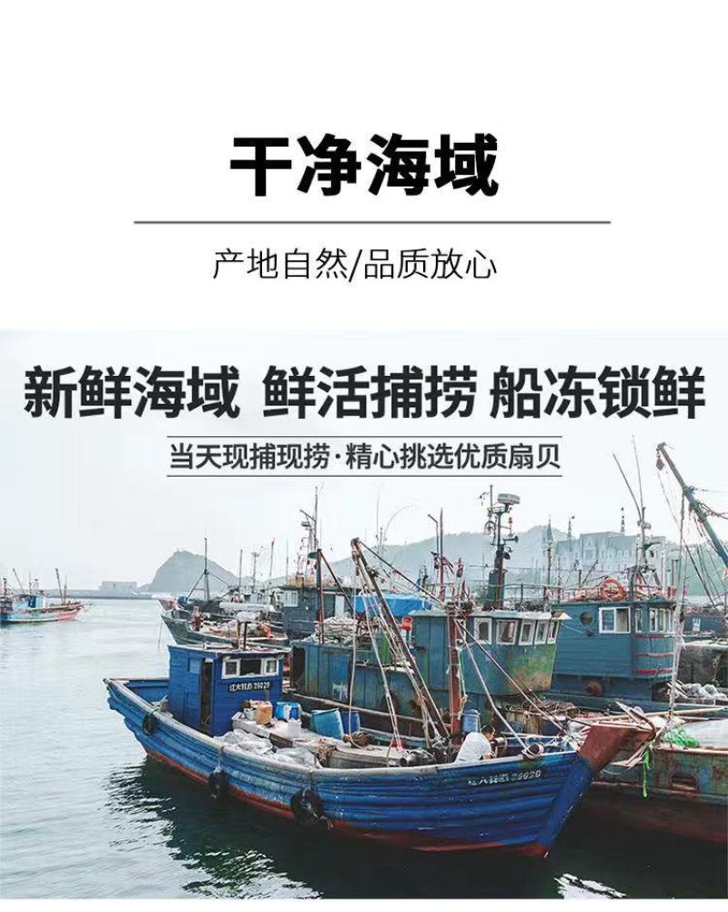 【产地】大号扇贝肉新鲜冷冻扇贝贝类海鲜水产超值包邮