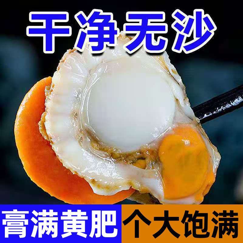【产地】大号扇贝肉新鲜冷冻扇贝贝类海鲜水产超值包邮