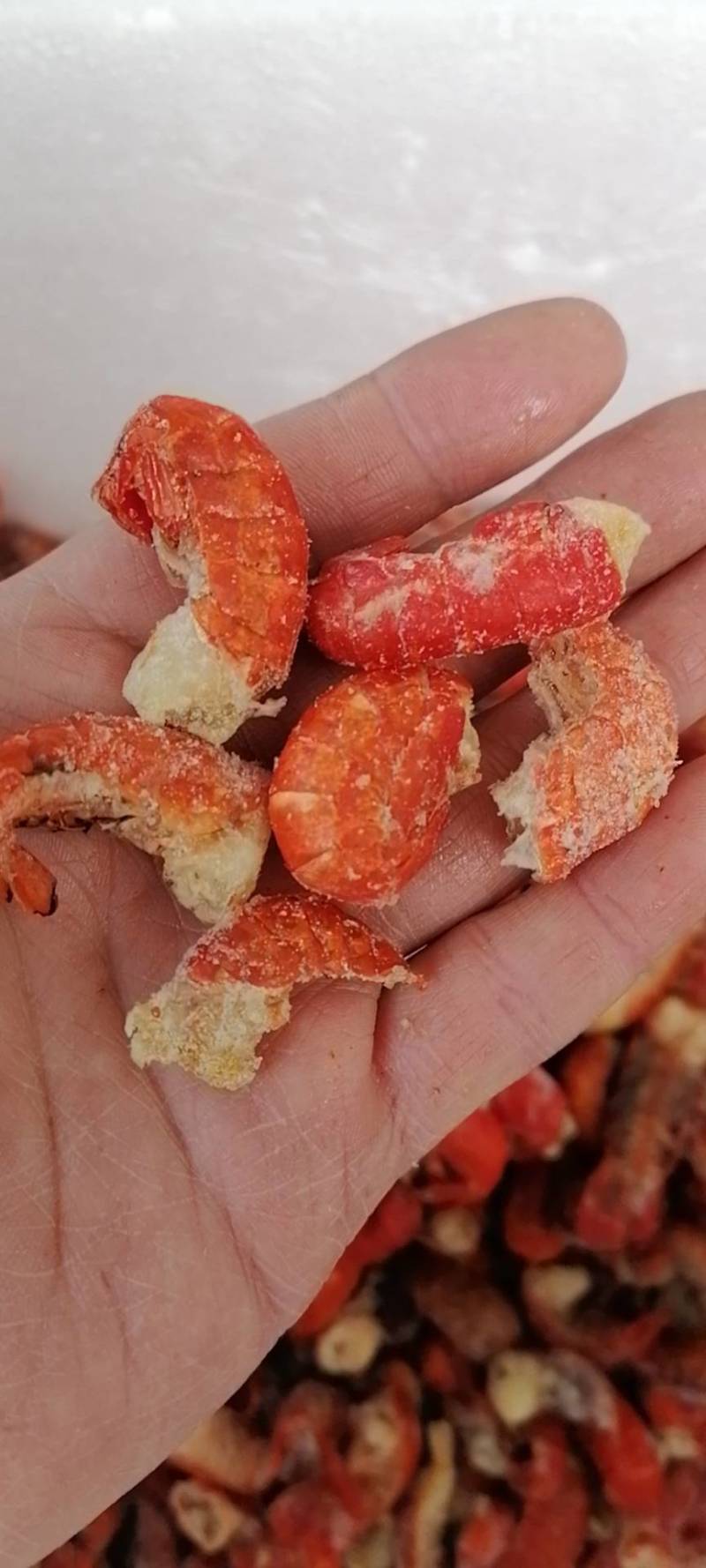 纯干龙虾尾，质量好，价格低