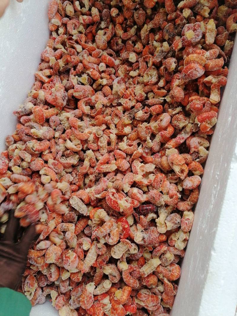 纯干龙虾尾，质量好，价格低