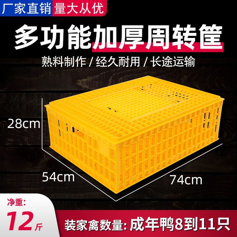 （包邮）成鸡周转箱加强型特大运输用运输筐鸡笼
