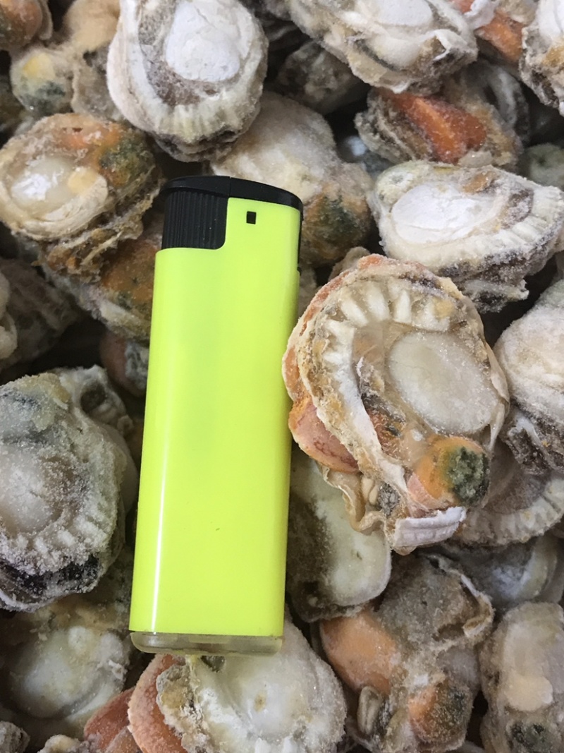 无壳无沙大个扇贝肉，40～60的规格，新鲜现拨