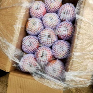 红富士苹果山西运城坡上货个头大颜色特漂亮