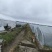 带藤叶采摘本地正宗原苗8424和美都黑籽大棚西瓜