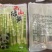 高山绿笋罗汉笋500g*20包一件火锅麻辣烫串串香专用