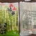 高山绿笋罗汉笋500g*20包一件火锅麻辣烫串串香专用