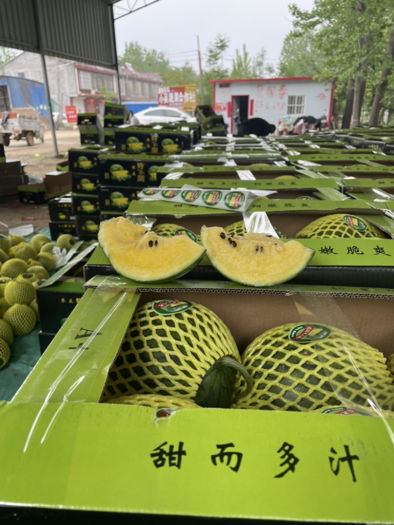 特小凤西瓜，产地直销，货源充足！保证质量，欢迎咨询！