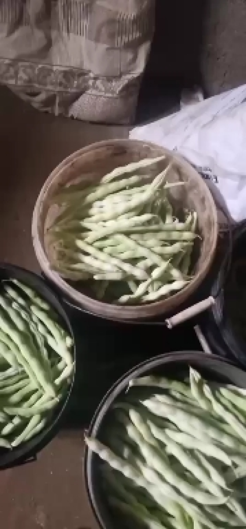 精品芸豆，大量供应超市。批发市场。小贩子