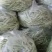 精品芸豆，大量供应超市。批发市场。小贩子