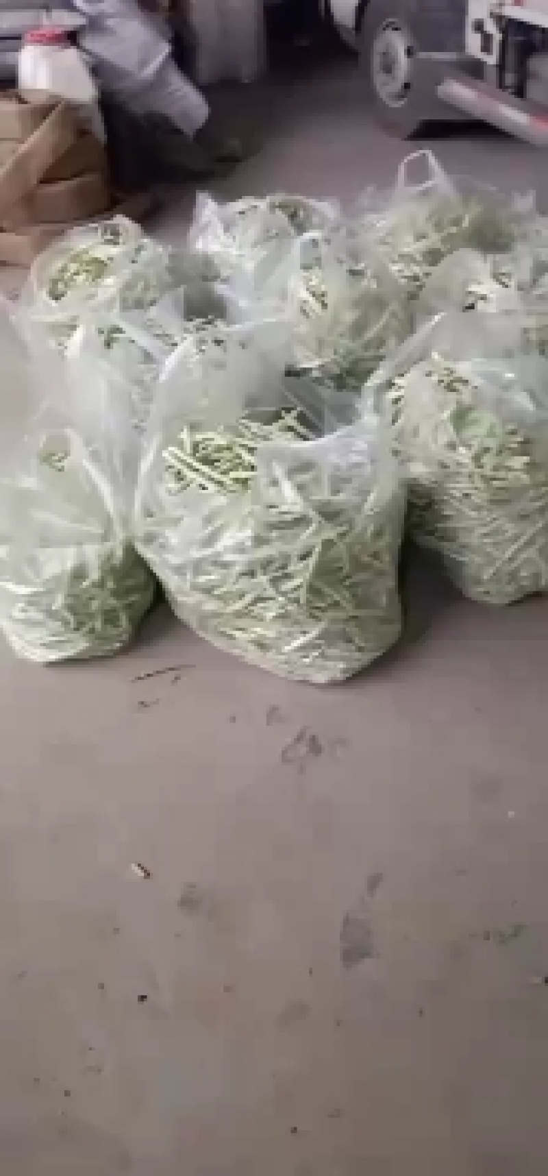 精品芸豆，大量供应超市。批发市场。小贩子