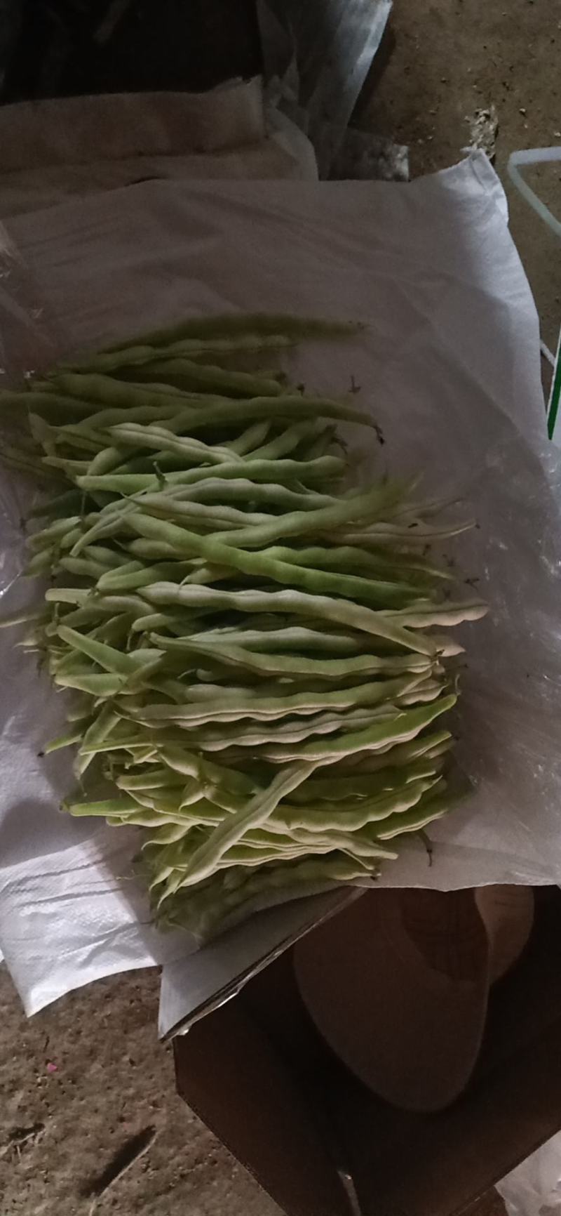 精品芸豆，大量供应超市。批发市场。小贩子