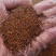 云南野生中药材菟丝子小菟丝子水洗菟丝子500g包邮