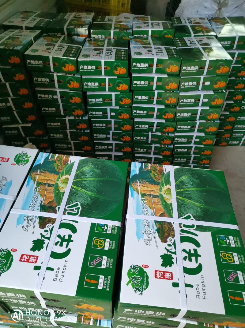 【电商批发】精品礼盒真贝贝吊瓜《贝贝小南瓜》货源充足可靠