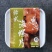 芥末海螺，韩式海螺，250g和400g