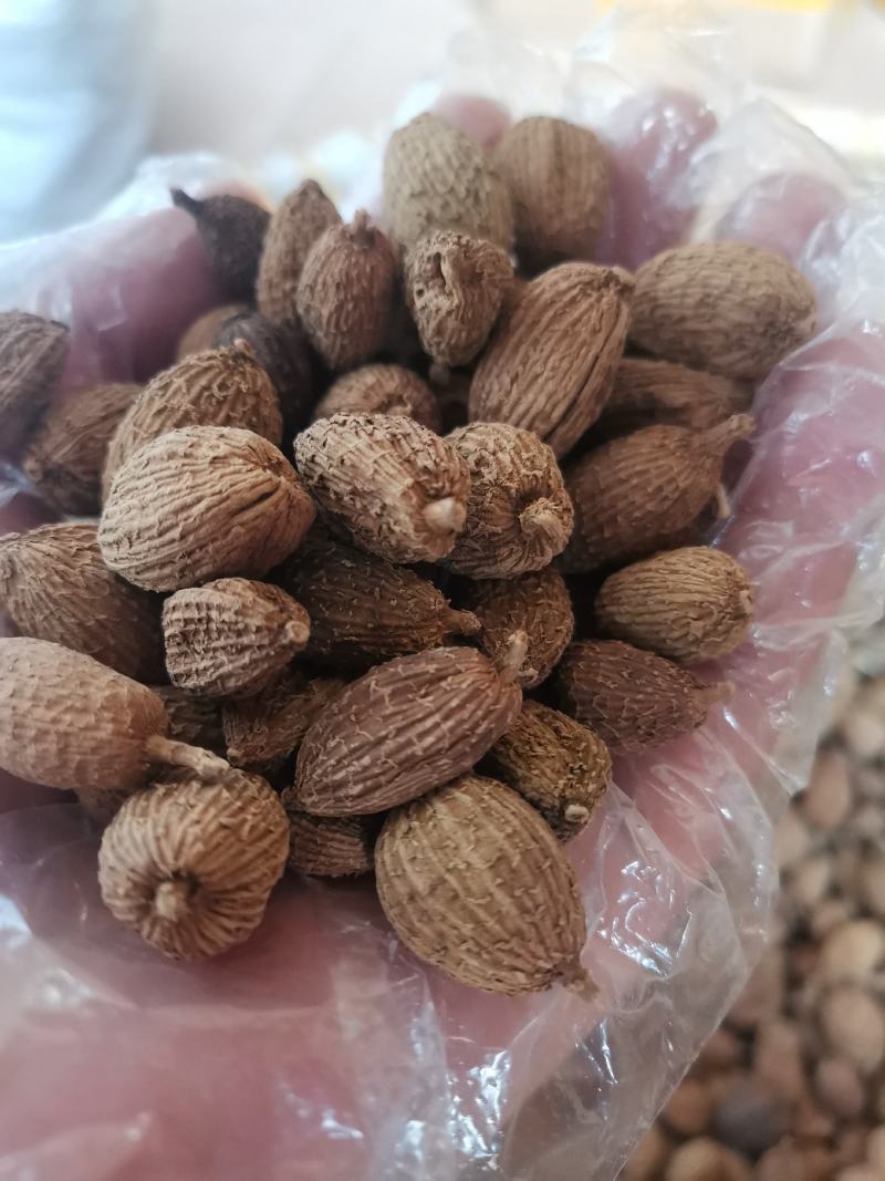 云南野生中药材砂仁壳砂仁500g包邮29.9