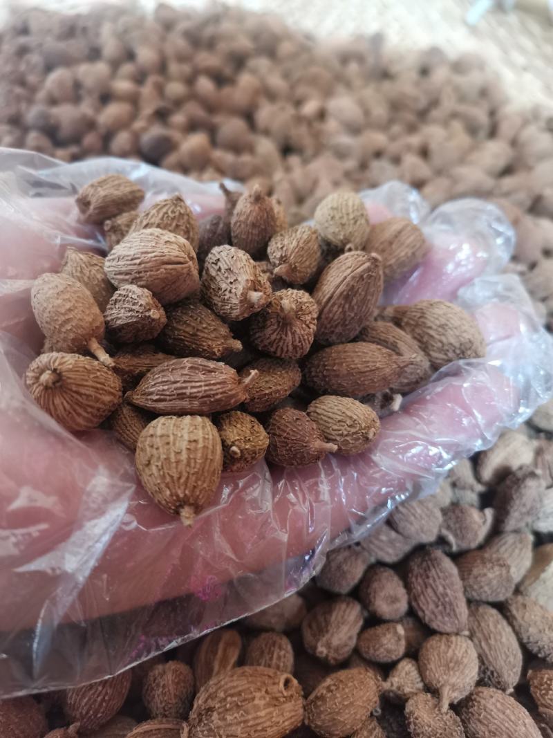 云南野生中药材砂仁壳砂仁500g包邮29.9