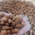 云南野生中药材砂仁壳砂仁500g包邮29.9