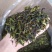八仙茶潮汕大坪土山茶八仙茶叶清香型高山茶叶1斤诏安八仙茶